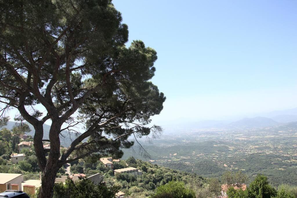 Montecolcau Panoramic View Leilighet Baunei Eksteriør bilde